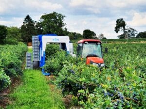 Ягідні комбайни KOKAN